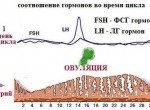Соотношение ЛГ и ФСГ