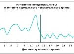 Фолликулостимулирующий гормон (ФСГ): когда он повышен